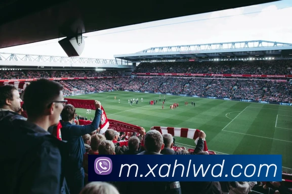 多媒体互动体验